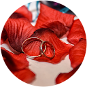 Aerys Noite Aerys Noite