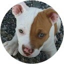 Rosa Noriega Rodríguez Rosa Noriega Rodríguez