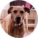 Urtune Apaolaza Batalla Urtune Apaolaza Batalla