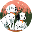 Eva Maria Bonilla ortega