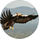 lucía escribir lucía escribir