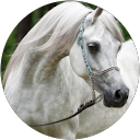 Latifa Alkhouri Latifa Alkhouri