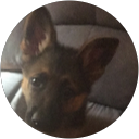 Lydia Torres Lydia Torres