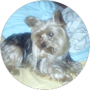 Alexandra Jiménez Franco Alexandra Jiménez Franco