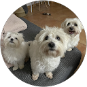 Clara Villar Núñez Clara Villar Núñez