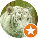 Miguel Alvarez Suegart Miguel Alvarez Suegart