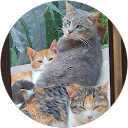 Sandra Álvarez Santi