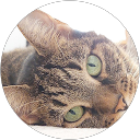 Alejandro Fernández Fernández