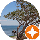 Bérénice Krvz Bérénice Krvz