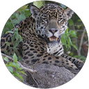 Sandra Gremion Sandra Gremion