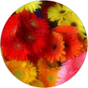 M Ivette V. V M Ivette V. V