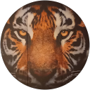 Didier Bidault Didier Bidault