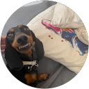 María Andrés Montesinos