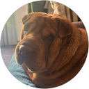 Laure Burnon Laure Burnon