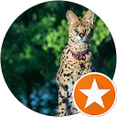 Muhammad Waqas Asghar Muhammad Waqas Asghar